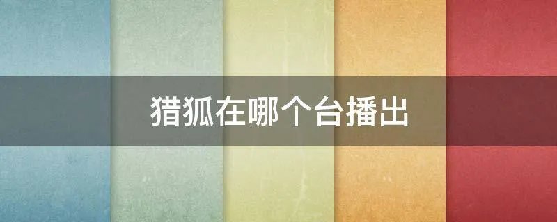 猎狐在哪个台播出
