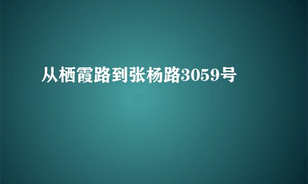 从栖霞路到张杨路3059号