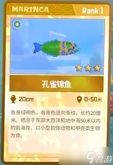 潜水员戴夫孔雀锦鱼怎么捕捉