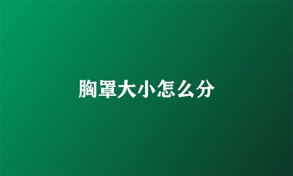 胸罩大小怎么分
