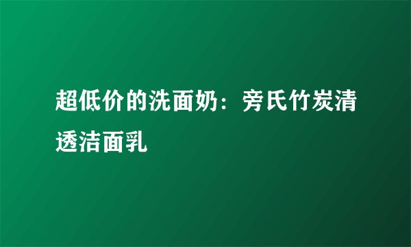 超低价的洗面奶：旁氏竹炭清透洁面乳