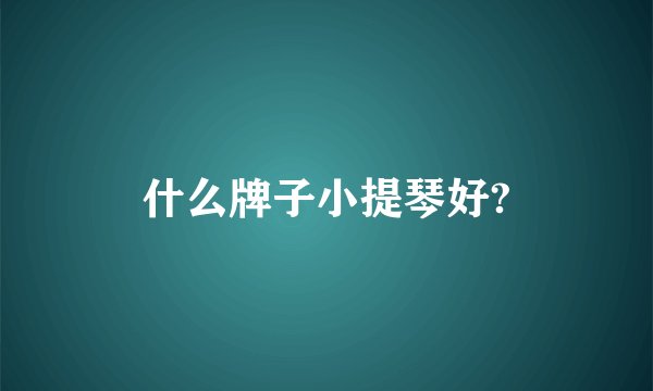 什么牌子小提琴好?