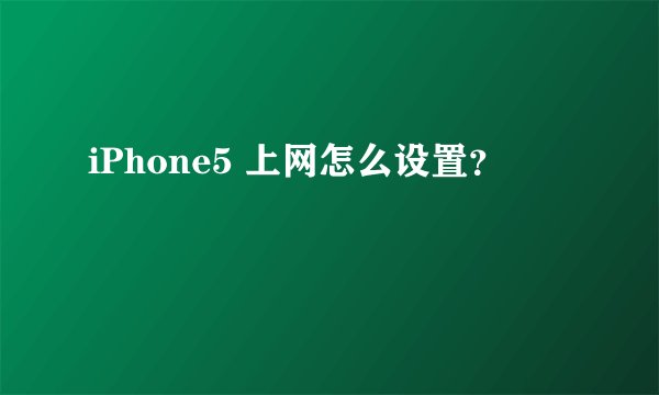 iPhone5 上网怎么设置?