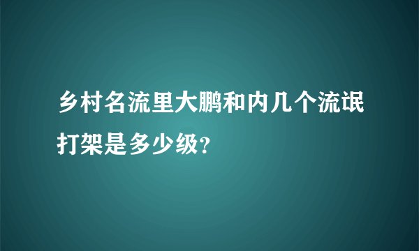乡村名流里大鹏和内几个流氓打架是多少级？