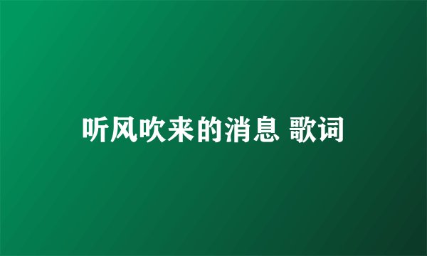听风吹来的消息 歌词