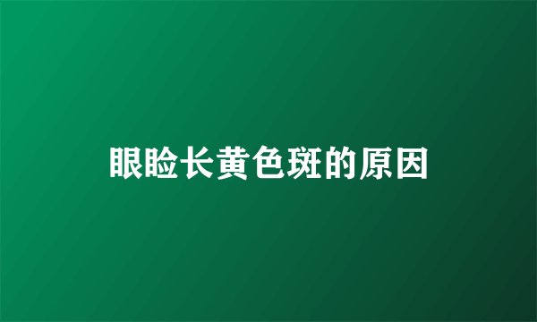 眼睑长黄色斑的原因