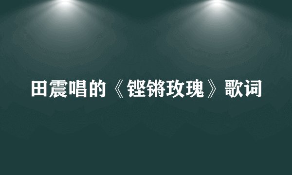 田震唱的《铿锵玫瑰》歌词