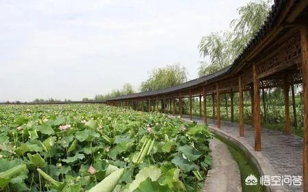 湖北农村的“彭墩模式”具体是指什么?
