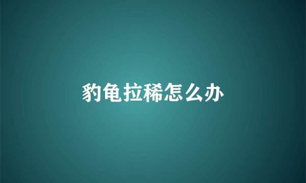 豹龟拉稀怎么办
