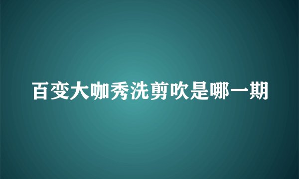 百变大咖秀洗剪吹是哪一期