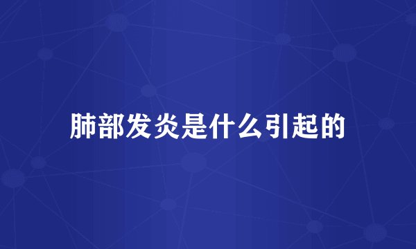 肺部发炎是什么引起的