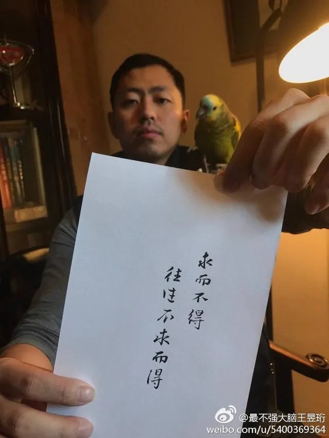 江苏卫视的《最强大脑》到底是真的还是假的?