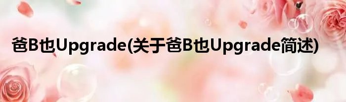 爸B也Upgrade(关于爸B也Upgrade简述)