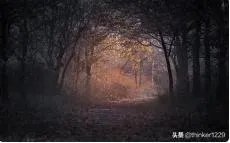 主角叫杨雨欣和老周的小说叫什么名字？