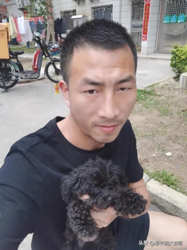 如何把狗狗训练的听你的指令呢?尤其是那种大型的狗?