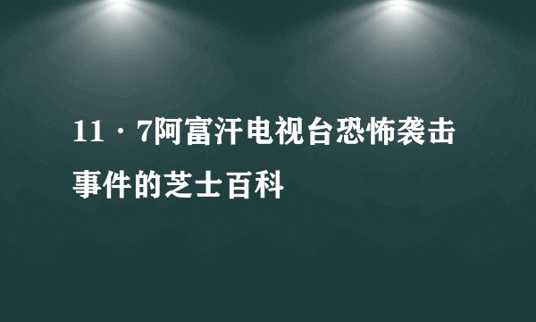 11·7阿富汗电视台恐怖袭击事件的芝士百科
