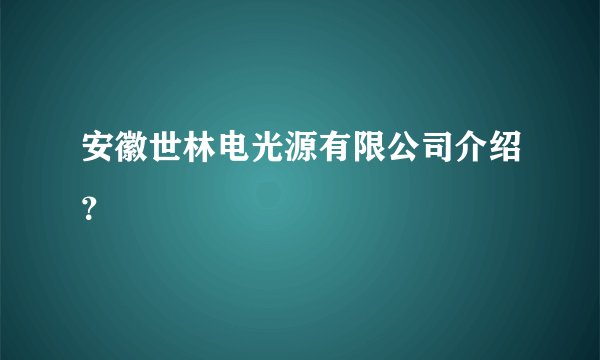 安徽世林电光源有限公司介绍？