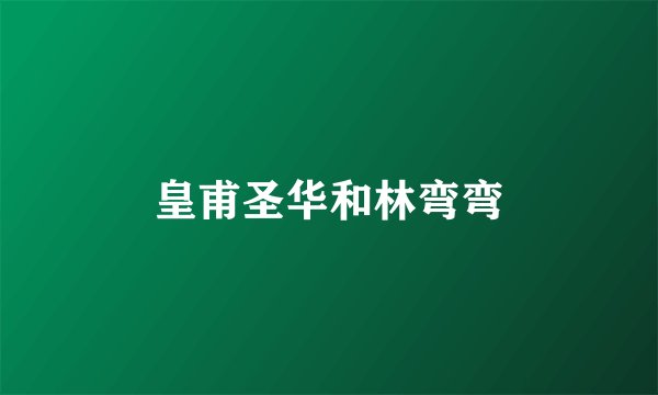 皇甫圣华和林弯弯