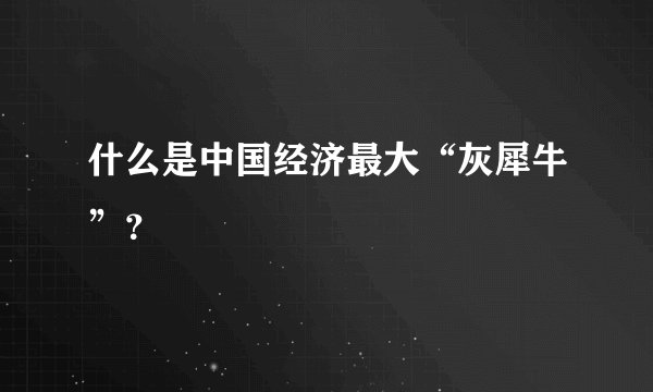 什么是中国经济最大“灰犀牛”？