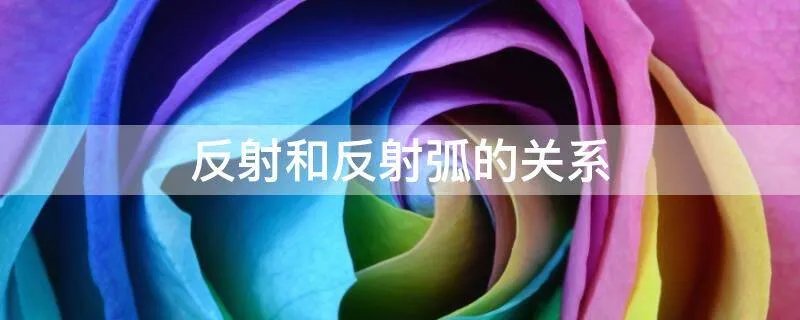 反射和反射弧的关系