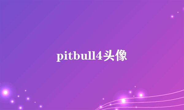pitbull4头像