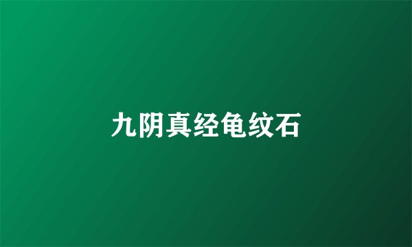九阴真经龟纹石