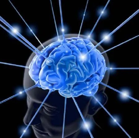 江苏卫视的《最强大脑》到底是真的还是假的?