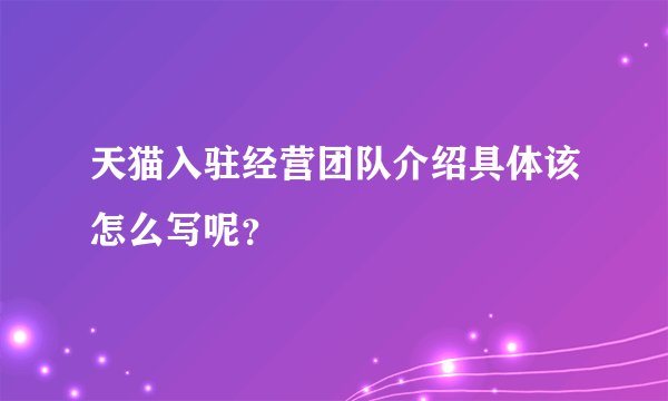 天猫入驻经营团队介绍具体该怎么写呢?