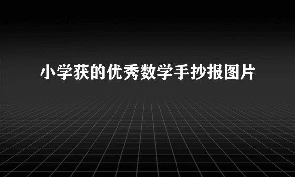 小学获的优秀数学手抄报图片