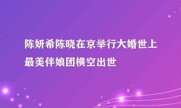 陈妍希陈晓在京举行大婚世上最美伴娘团横空出世