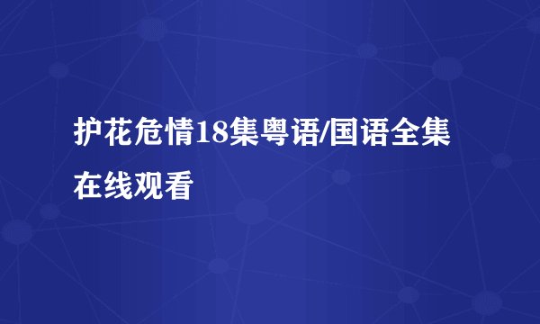 护花危情18集粤语/国语全集在线观看