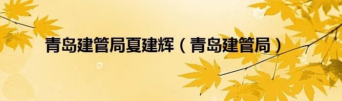 青岛建管局夏建辉（青岛建管局）
