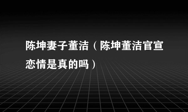 陈坤妻子董洁（陈坤董洁官宣恋情是真的吗）