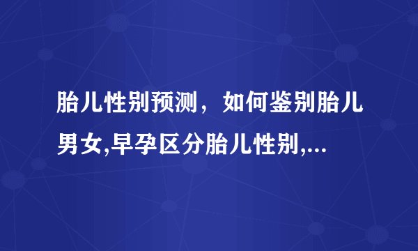 胎儿性别预测，如何鉴别胎儿男女,早孕区分胎儿性别,辨别胎儿性
