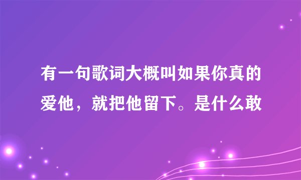 有一句歌词大概叫如果你真的爱他,就把他留下。是什么敢