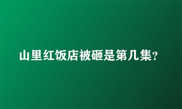 山里红饭店被砸是第几集？