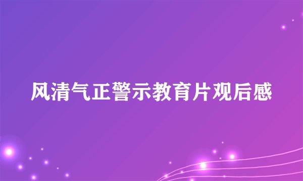 风清气正警示教育片观后感
