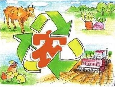 冯佳文 寿光