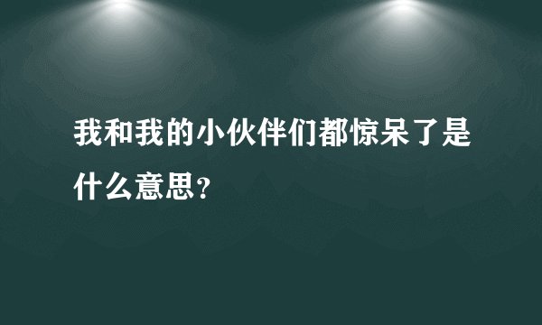 我和我的小伙伴们都惊呆了是什么意思?