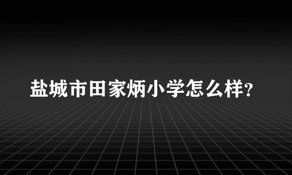 盐城市田家炳小学怎么样？
