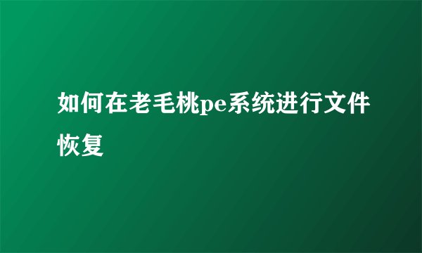 如何在老毛桃pe系统进行文件恢复