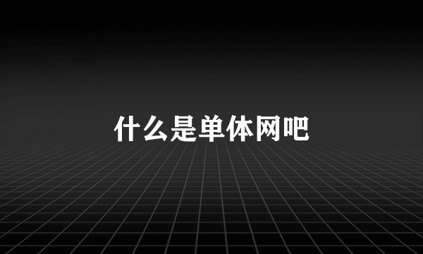 什么是单体网吧