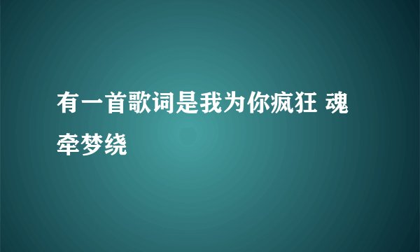 有一首歌词是我为你疯狂 魂牵梦绕