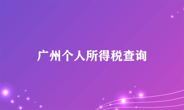 广州个人所得税查询