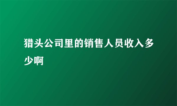 猎头公司里的销售人员收入多少啊