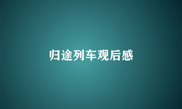 归途列车观后感