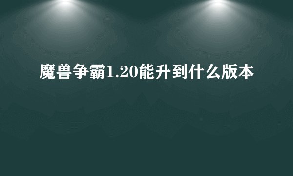 魔兽争霸1.20能升到什么版本