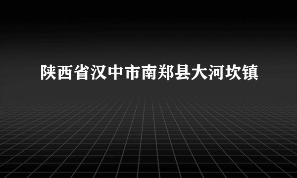 陕西省汉中市南郑县大河坎镇