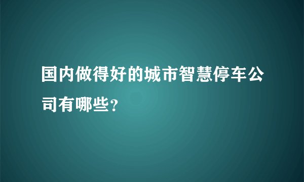 国内做得好的城市智慧停车公司有哪些？