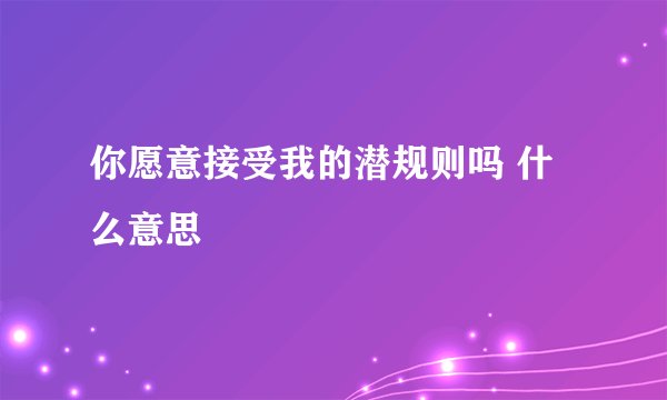你愿意接受我的潜规则吗 什么意思